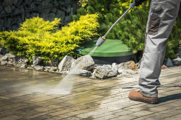 Best Pre-Holiday Cleaning  in Gardena, CA